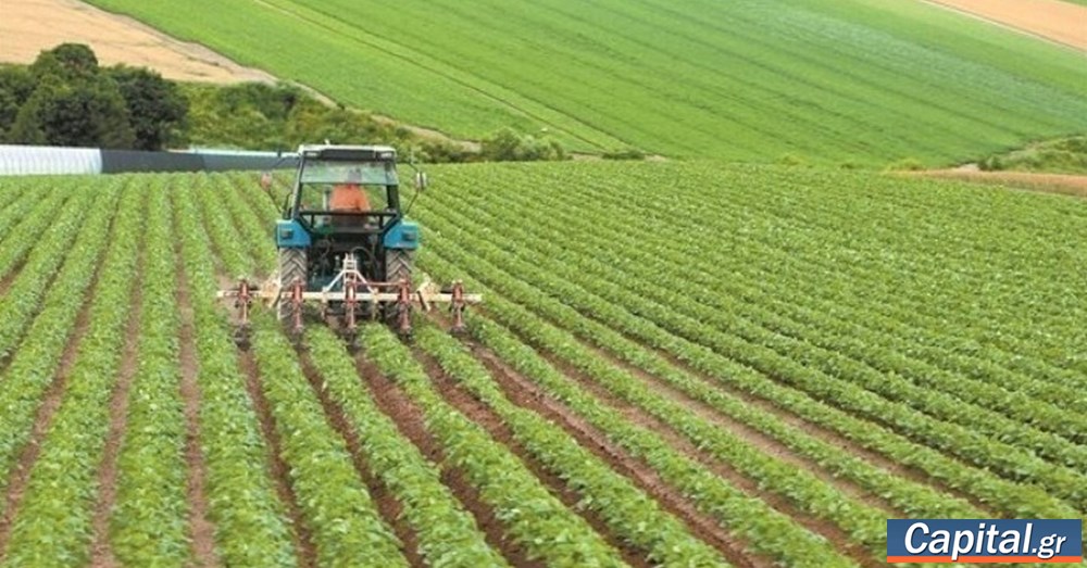 ΕΛΓΑ: 60 προσλήψεις με συμβάσεις εργασίας έως 8 μήνες