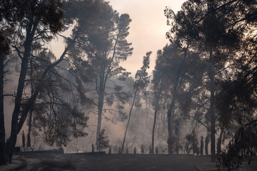 Φωτιά στη Χαλκιδική: Μάχη με διάσπαρτες εστίες - Σε επιφυλακή για αναζωπυρώσεις - Κλειστός ο δρόμος προς Φούρκα