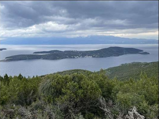 trikeri