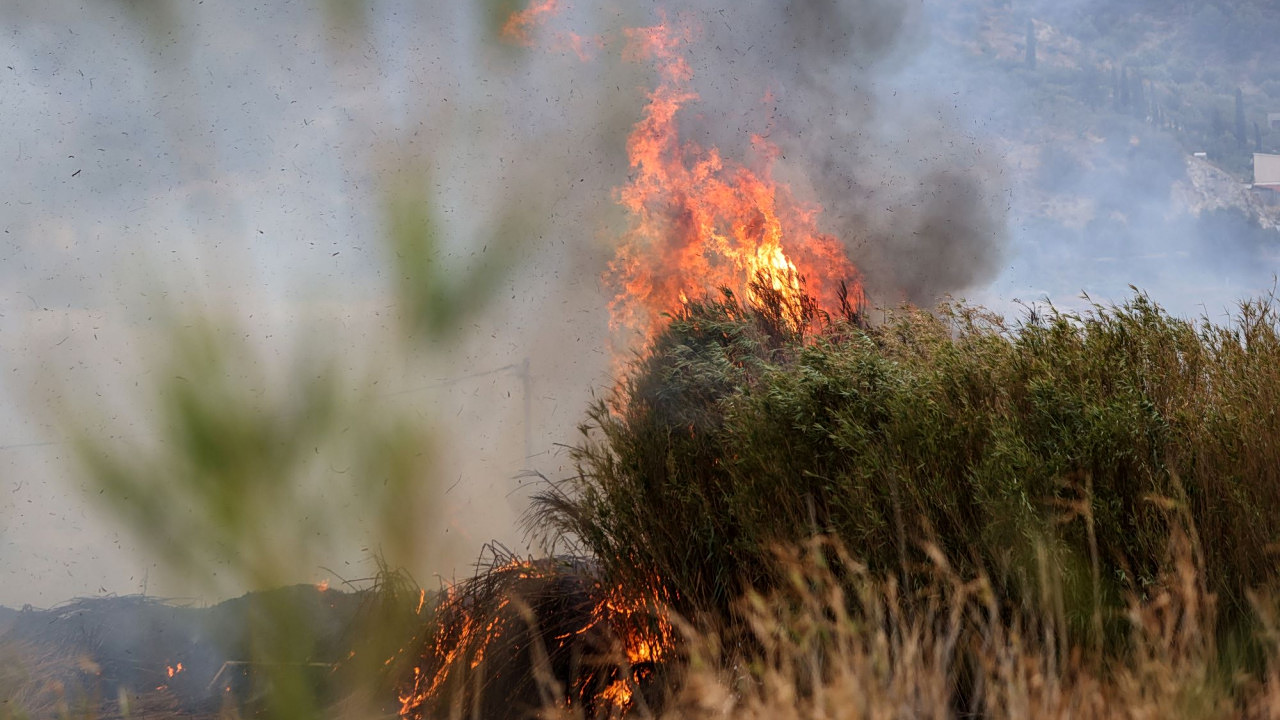 Φωτιά στις Βαμβακές Κορινθίας - Σηκώθηκαν 8 εναέρια μέσα