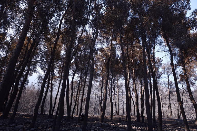 Το επιτελικό κράτος Μητσοτάκη απέναντι στη φωτιά: 4,5 εκατ. στρέμματα καμένα και οι απαντήσεις που αγνοούνται