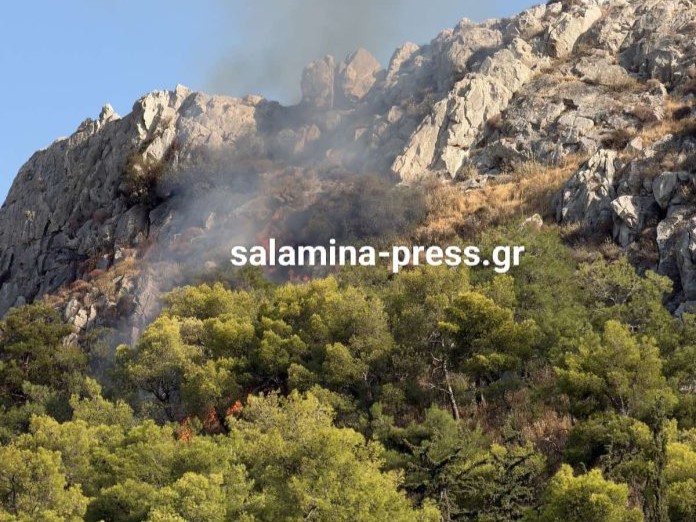 Φωτιά στη Σαλαμίνα – Σηκώθηκαν 2 ελικόπτερα