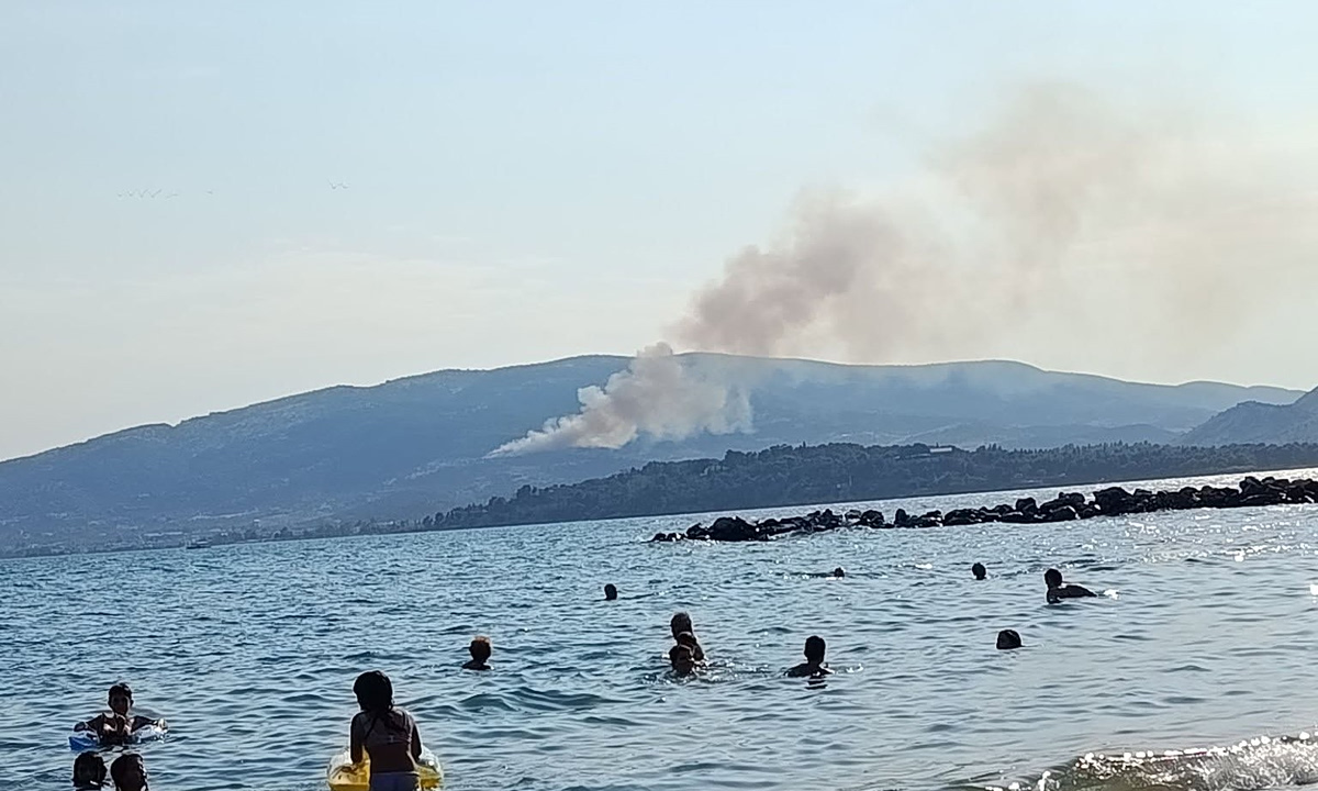 Φωτιά σε δασική έκταση στα Αϊβαλιώτικα στον Βόλο - Μήνυμα από το 112
