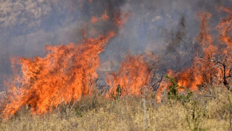 Φωτιά σε χαμηλή βλάστηση στη Νέα Πέτρα Σερρών