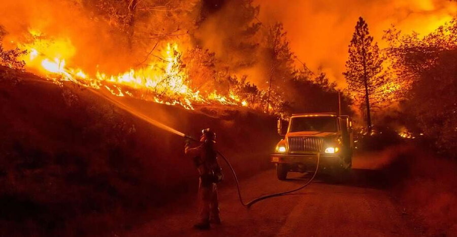 Αλγερία: 12 νεκροί, ανάμεσά τους παιδί 8 ετών, και δεκάδες τραυματίες σε δασικές πυρκαγιές