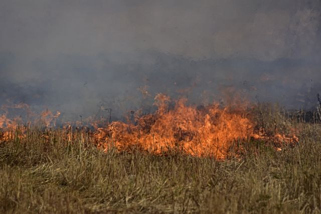 Φωτιά στα Τουρκοβούνια στο Ψυχικό - Ισχυρές πυροσβεστικές δυνάμεις