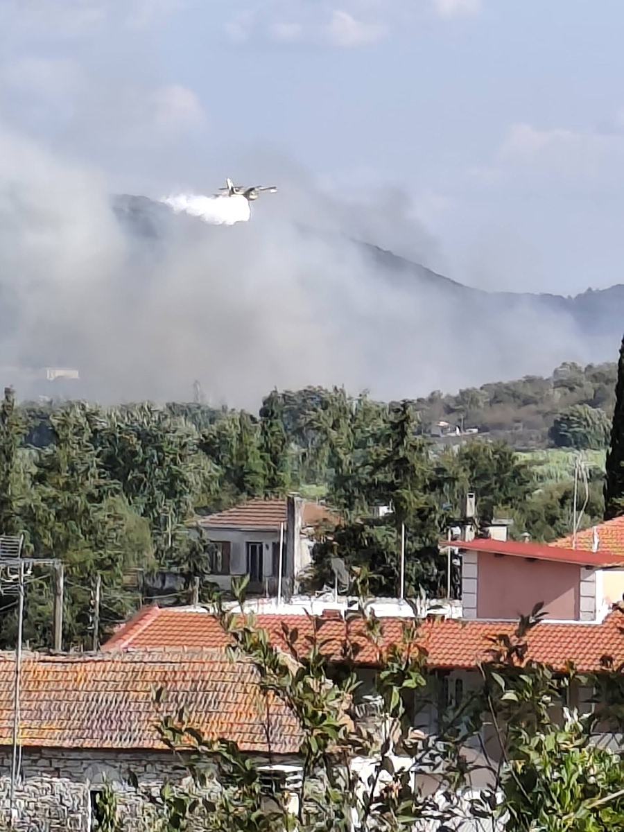 Φωτιά στο Θεσπρωτικό Πρεβέζης - Επιχειρούν 5 εναέρια μέσα