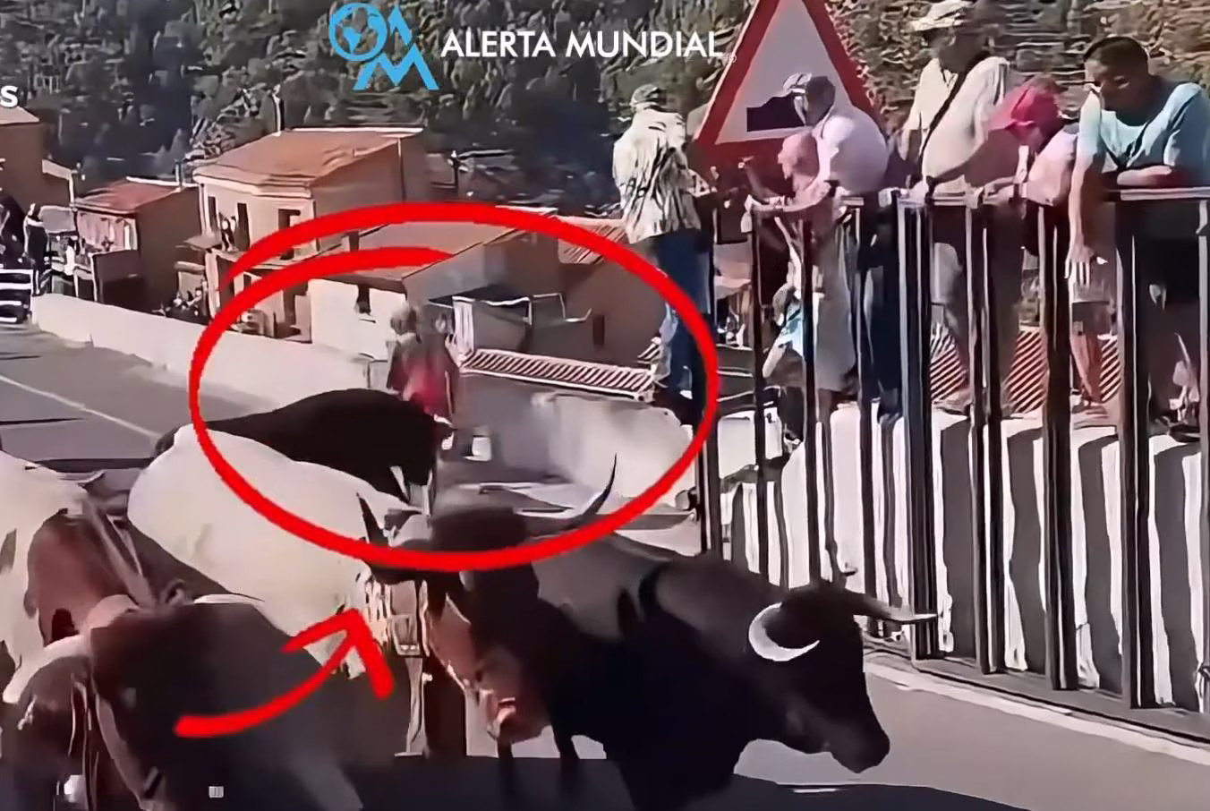 Ισπανία: Νεκρή 64χρονη από επίθεση ταύρου κατά τη διάρκεια ταυροδρομίας - Σοκαριστικό βίντεο