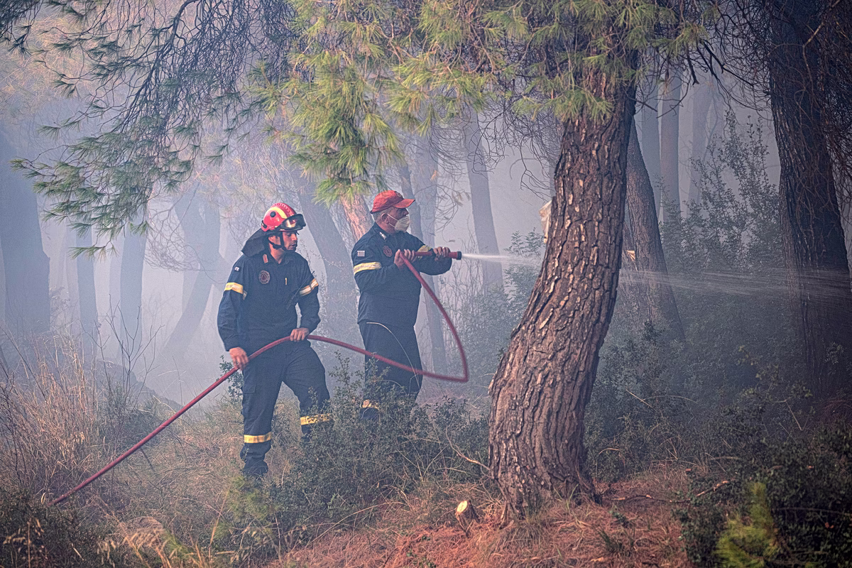 Φωτιά σε αγροτοδασική έκταση στη Μεσσηνία