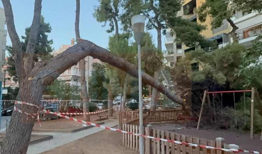 Θεσσαλονίκη: «Κάναμε τραμπάλα και έπεσε το δέντρο πάνω μας» – Η μαρτυρία της μητέρας για το ατύχημα στην Καλαμαριά