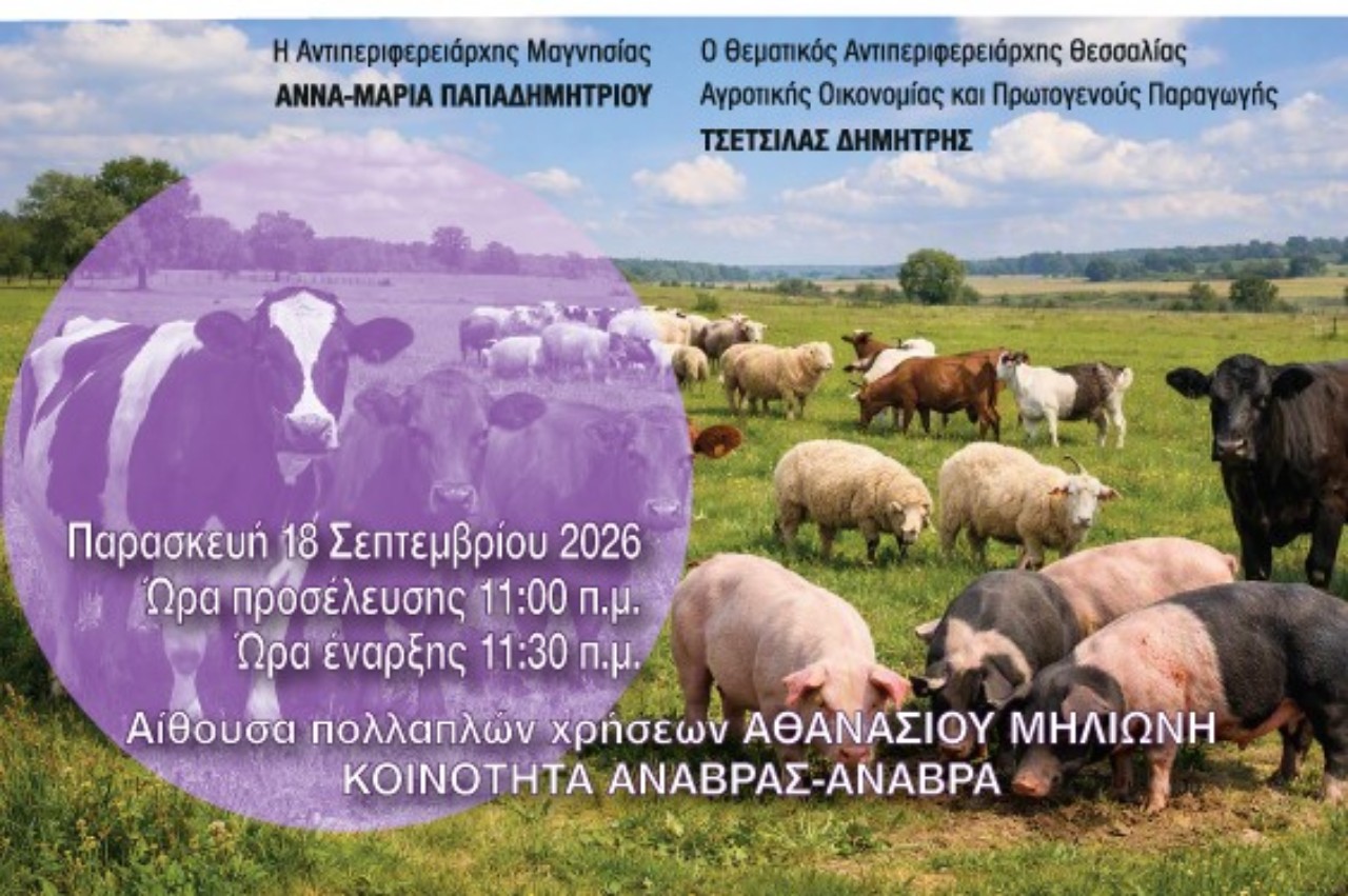 afissafiver-copy-1280x851