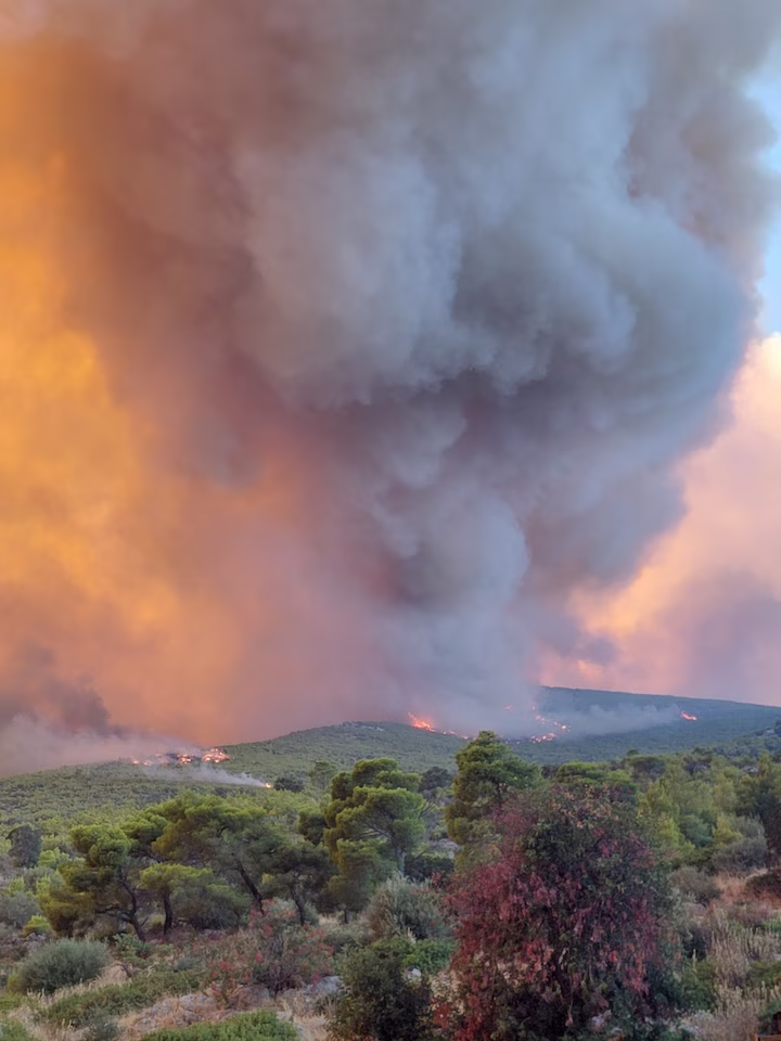 Η μεγάλη πυρκαγιά σε Δυτική Αττική-Βοιωτία: Aνάλυση και διαδραστικός χάρτης από WWF, FLAME, FireWatch