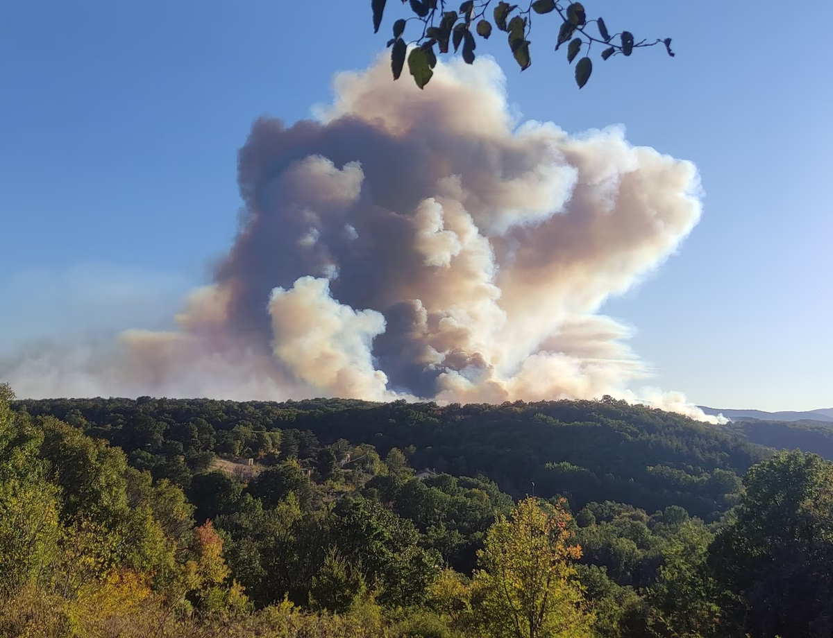 Ανεξέλεγκτη η φωτιά στο Σουφλί - Μεγάλο το πύρινο μέτωπο που πέρασε στον Έβρο από τη Βουλγαρία