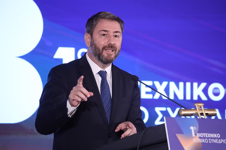 Ο πρόεδρος του ΠΑΣΟΚ Νίκος Ανδρουλάκης