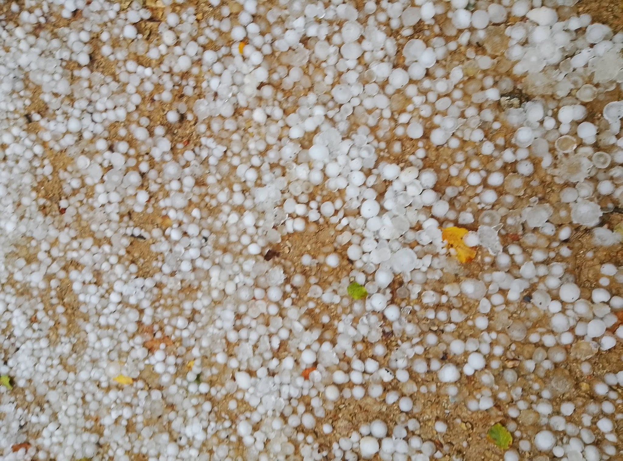 xalazi makrinitsa