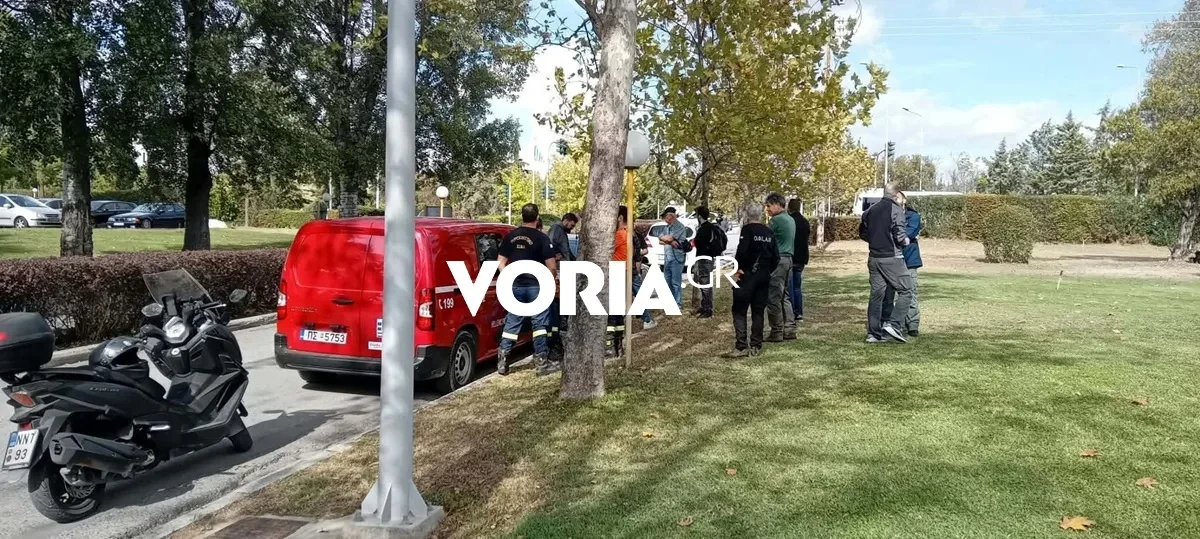 Θεσσαλονίκη: Είχε δηλωθεί εξαφανισμένη από το Σάββατο η γυναίκα που βρέθηκε με εγκαύματα στο Πανόραμα