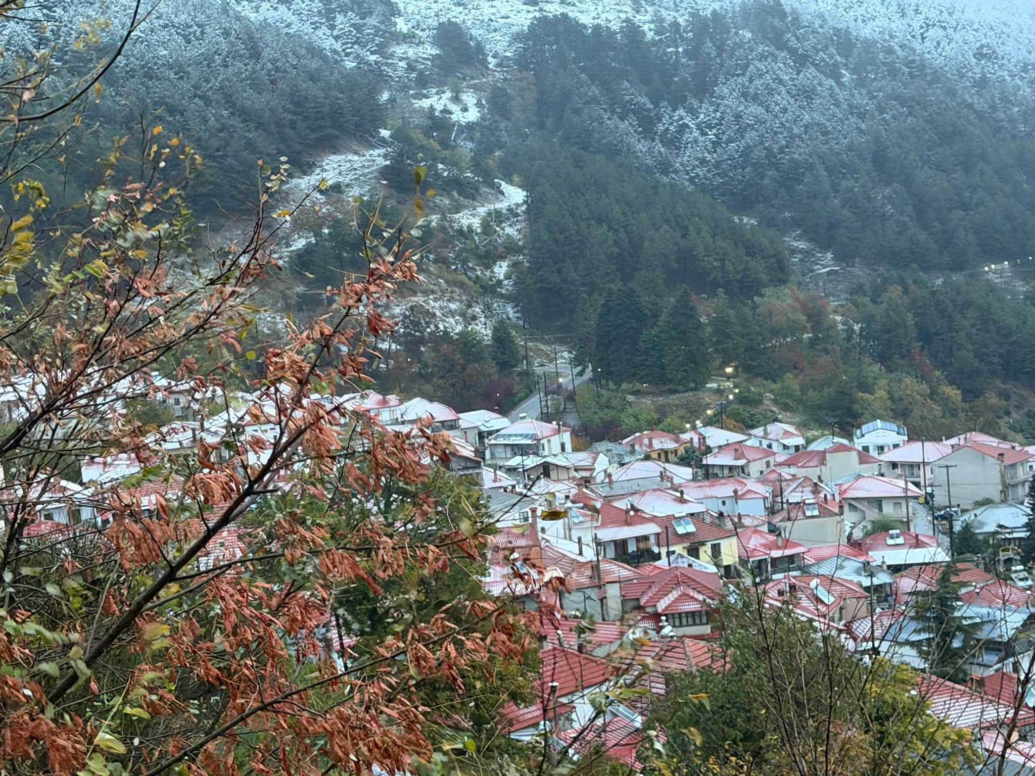 livadi-elasona-xionia1